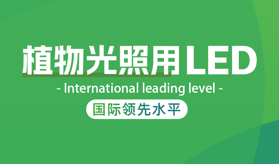 伟德国际1949植物照明LED：高光量子效率驱动农业现代化与节能