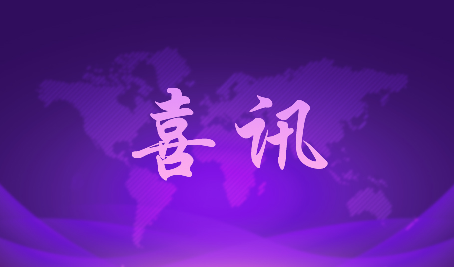 喜讯 | 伟德国际1949入选2025年广东省制造业单项冠军企业